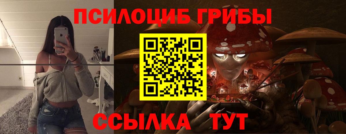 Галлюциногенные грибы Cubensis Клин
